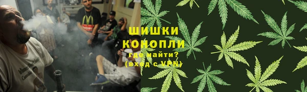 шишки Алексин
