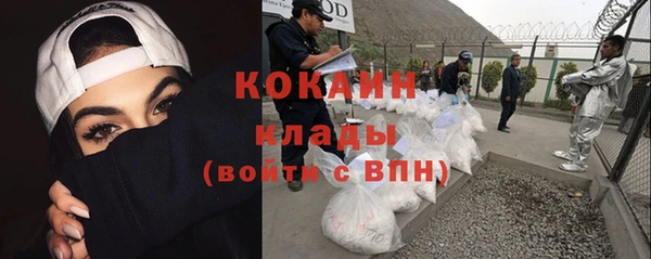 шишки Алексин