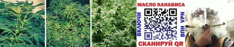 как найти наркотики  Кемерово  MEGA ссылки  ТГК гашишное масло 