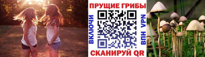 Псилоцибиновые грибы Cubensis  где купить наркоту  Кемерово 